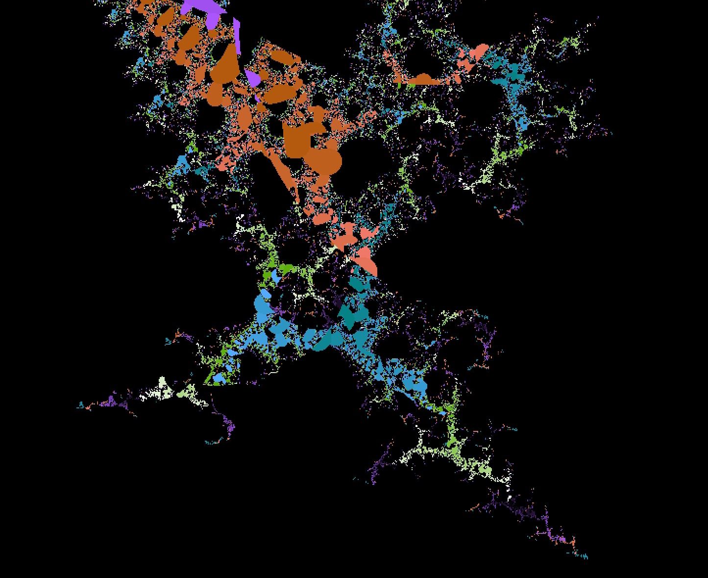 Frog Fractal